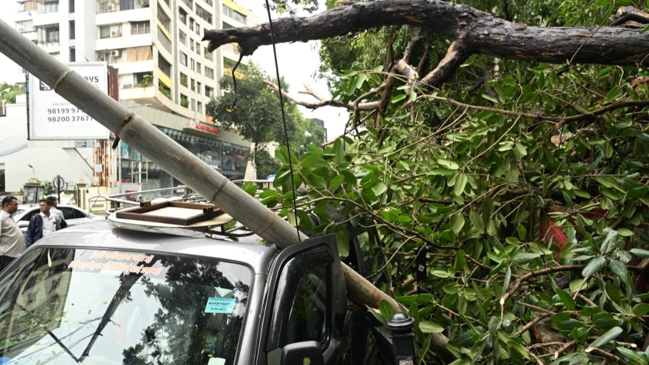 Meanwhile, the Mumbai Traffic Police said that the southbound traffic movement was slow at pole number 28 on the Eastan Freeway due to a car breakdown